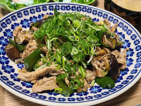 豚と茄子とピーマンの炒め物